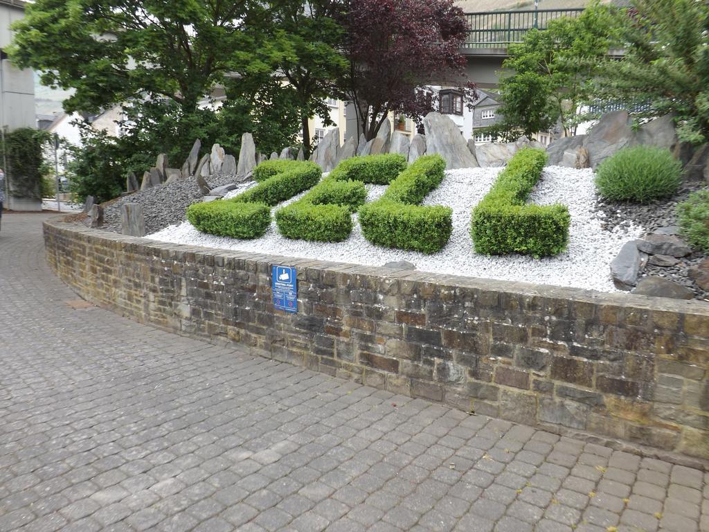 B&B Pension Winzerhaus Zell-Mosel エクステリア 写真