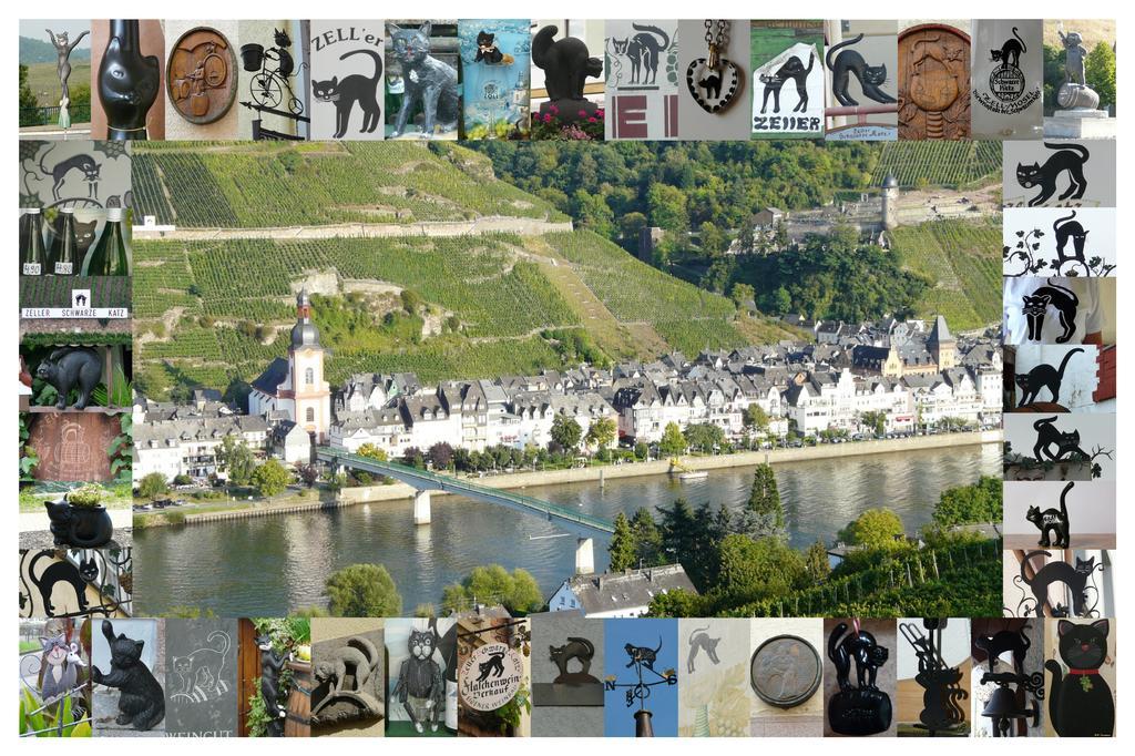 B&B Pension Winzerhaus Zell-Mosel エクステリア 写真